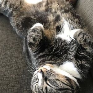 Meet your Posher, Leslee-anne